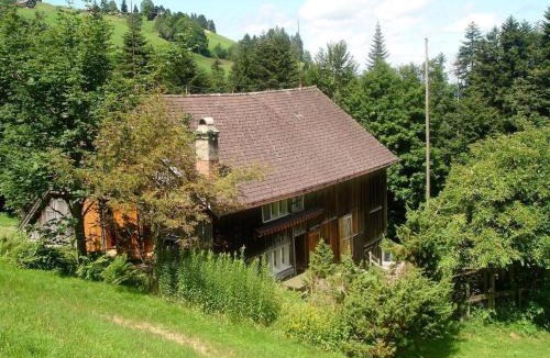 Ebnat-Kappel House | Holiday Home Ruchweid by Interhome