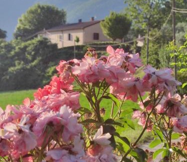 Acquasparta Apartment | Il Casaletto di Simonetta