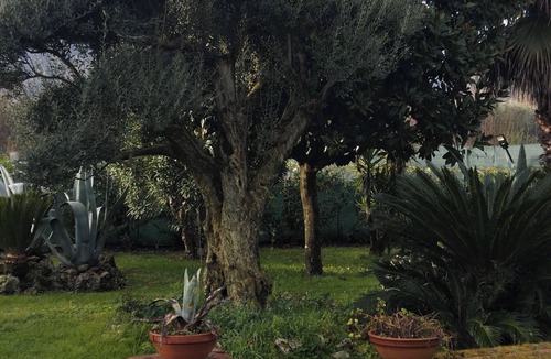 Pietramelara Bed & Breakfast | Il giardino di Eolo