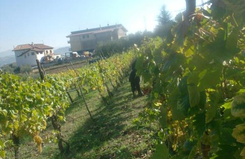 Sicignano degli Alburni House | il sentiero del riccio