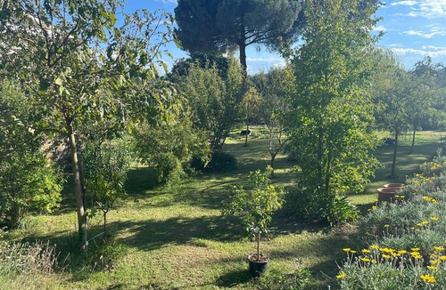 Fabrica di Roma Apartment | La Casa Dei Fiori-Oasis of peace in Fabrica di Roma