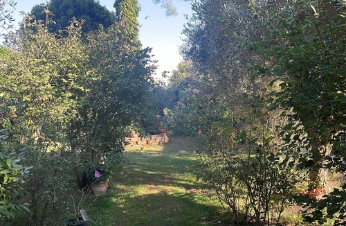 Fabrica di Roma Apartment | La Casa Dei Fiori-Oasis of peace in Fabrica di Roma