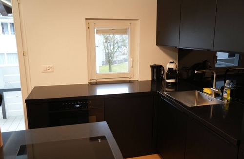 Weissenstein Apartment | LEVA Suite - Near Grindelwald, Engelberg, Interlaken, Lucerne & Andermatt
