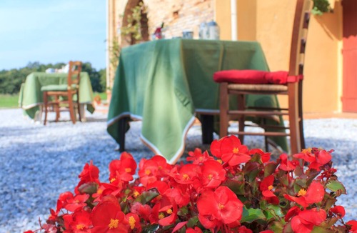 Guasticce House | Magnificent apartment in the Tuscan countryside with swimming pool