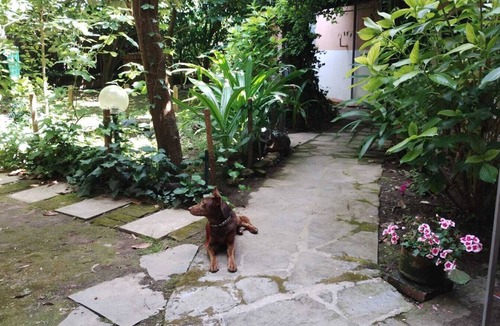 San Francesco Apartment | "Ondad'arno," in the heart of Pisa, at Secret Garden