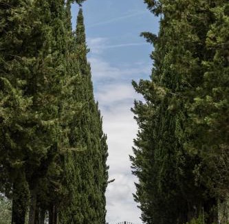 San Pietro in Bossolo Apartment | Podere Mezzastrada - Place of Charme