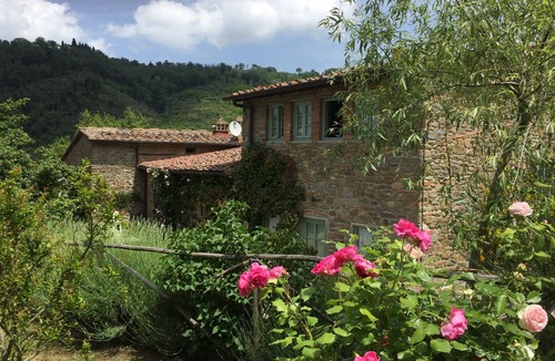 Poggio Alla Croce House | Relaxing and stilish home only 30 minutes from Florence in Chianti Region