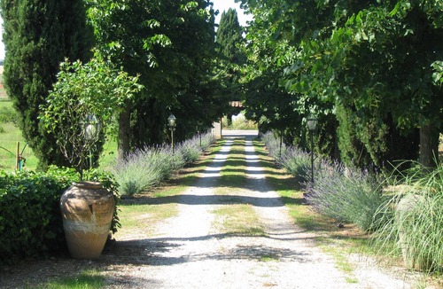 Castiglione del Lago Villa | Ridiculously Beautiful Villa. Lake View, Large Private Garden, Olives, Vineyards