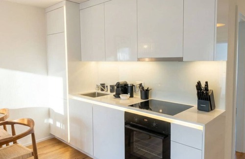 Glattbrugg Apartment | Riverfront 1BR & Balcony | Zurich Airport | WiFi