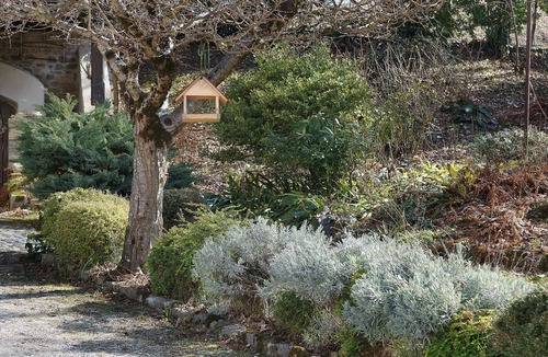 Fielis Apartment | Room '4Polse Di San Pieri Camera Doppia' with Shared Terrace, Shared Garden and Wi-Fi