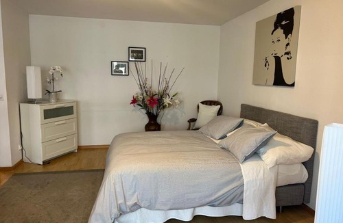 Matthaus Apartment | Schweiz (302)