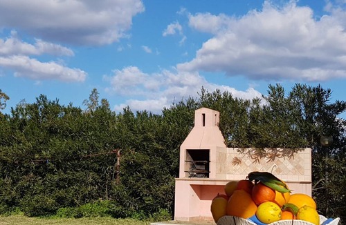 Cala Liberotto Villa | [Solidea] House with garden 500 meters from the sea