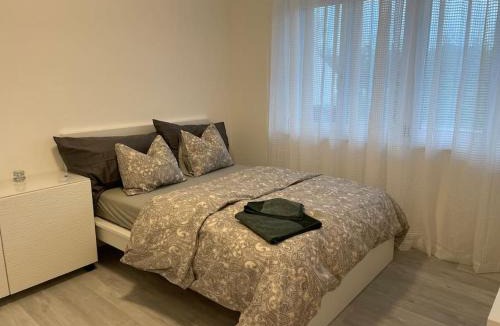 Raterschen Apartment | Studio mit eigener Dusche und Küchenzeile
