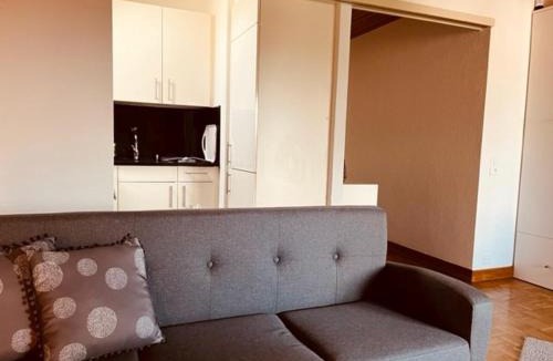Wettingen Apartment | Studio Wettingen möbliert, 25min bis Zürich