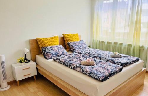 Olten Apartment | Vantage Point 101