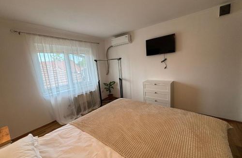Emanoil Gojdu House | Vila Daddy
