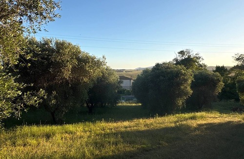 Capalbio Villa | Villa 5 minutes from sea, swimming pool and olive trees in Capalbio countryside