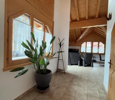 Leukerbad Apartment | Villa Octogon - Free Parking - Wii - SportArena
