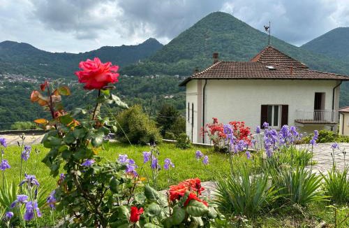Dizzasco Apartment | Villa Oleandra with Garden&Swimming pool