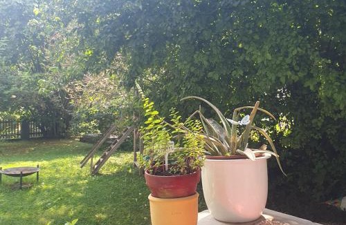 Central Interlaken Apartment | Zentral gelegene Wohnung mit grossem Garten