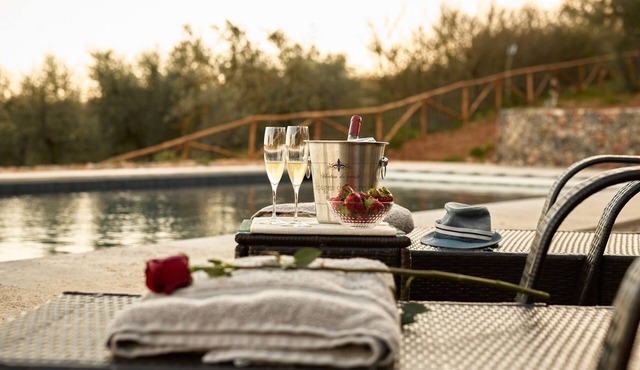 15th century barn fully renovated in a stylish style with gorgeous swimming pool