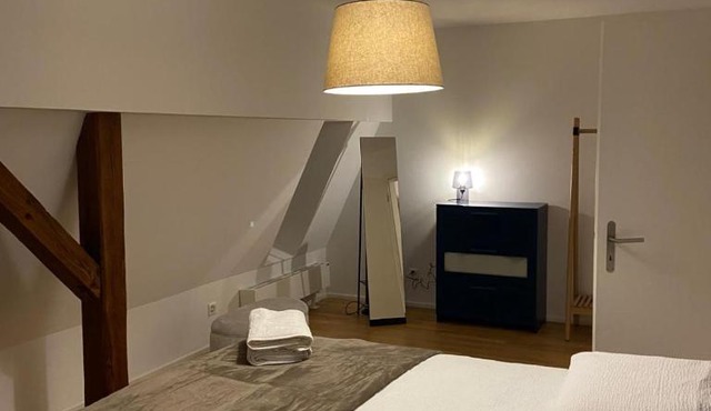 3 BR Duplex in Wiedikon