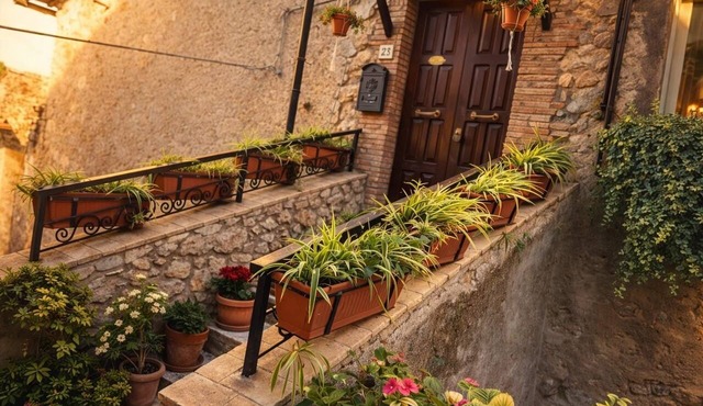 A cozy single-family home in the center of Tolfa. Pets allowed.