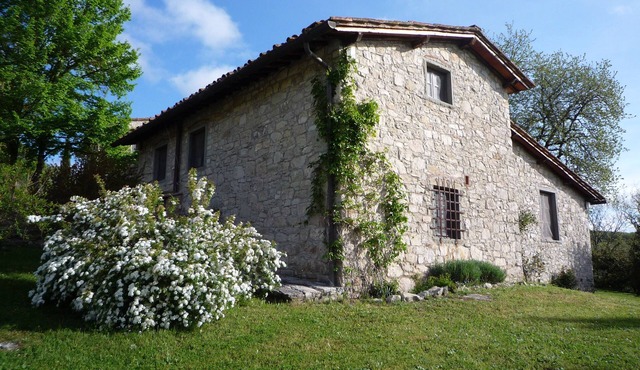 A paradise of cypress and olive trees