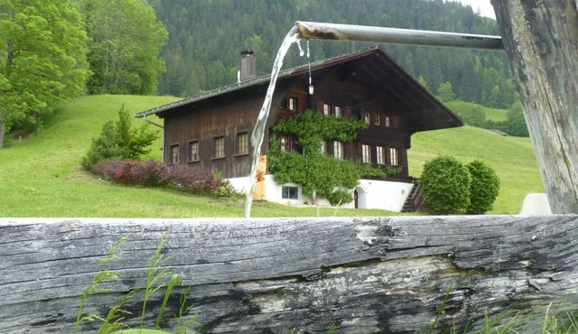 Aerneli, Chalet Appartement/Fewo, Dusche oder Bad, WC 6-Bettwohnung by Interhome