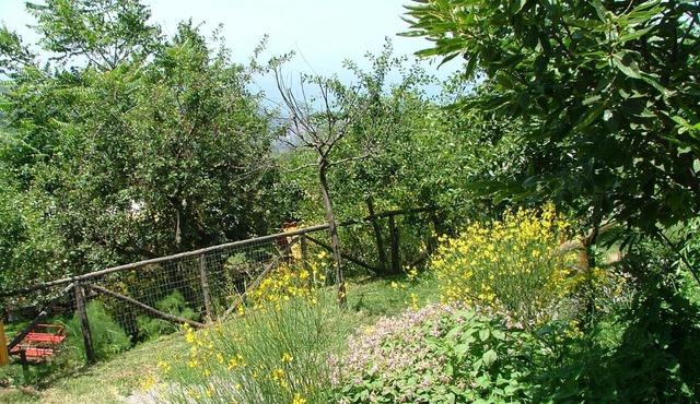 Agriturismo La Ginestra