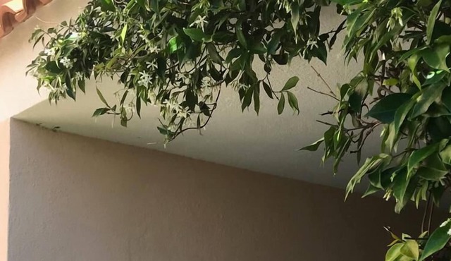 Apartment/ flat - Olbia tempio