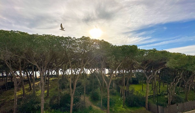 Apartment Follonica 87