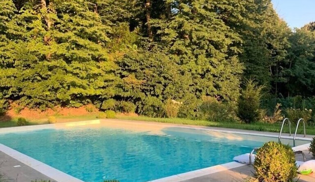 Apartment in a castle, park and pool included.