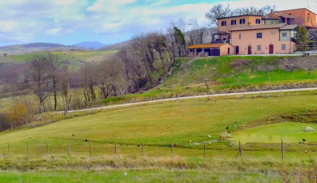 Apartment in Agriturismo Sanlorenzo in the green hills of Umbria
