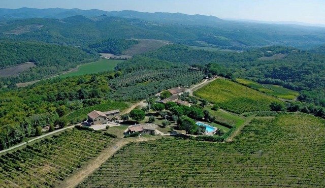 Apartment in an idyllic holiday complex in the middle of the winery B3