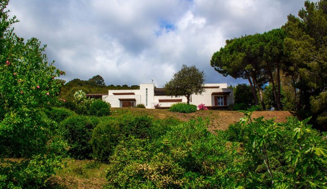 Apartment in the hills, in the green, with wonderful sea view on Elba Island