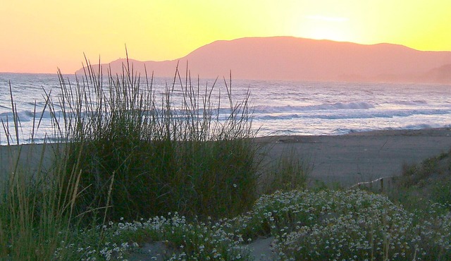 Apartment Malibu near the Beaches