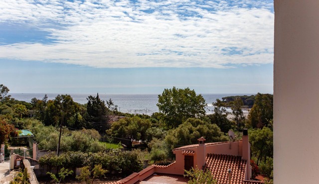 Apartment "Murice" with Sea View, Garden & Wi-Fi