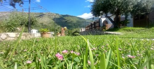 B&B da Maria Teresa - Maratea in Maratea