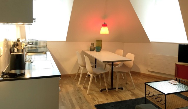 Beautiful 2 bedroom apartment in the middle of Wipkingen