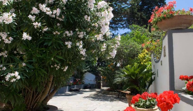 Beautiful villa in the center of Capri with garden close to shopping area