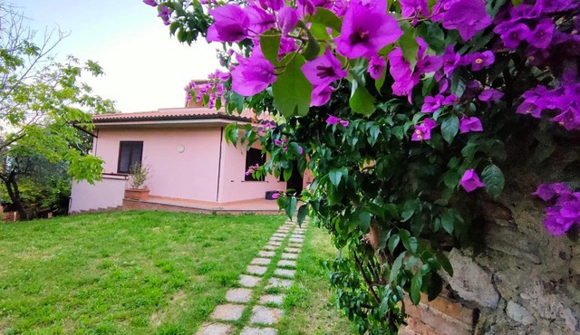 Bella Vista - Belvedere