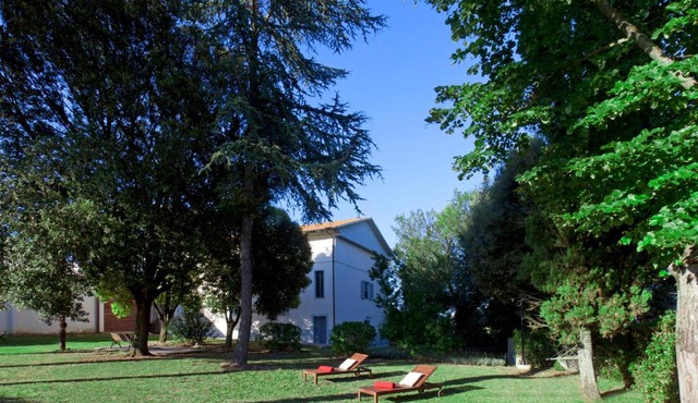 Borgo Iris - Wine Farm in Cortona