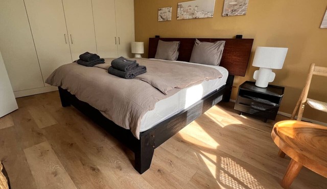 Bright Apartment in Oerlikon-Zurich (102-16)