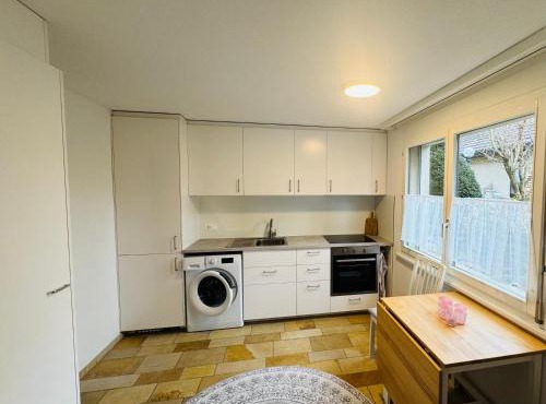 Bright furnished Studio with workspace and garden area near Zurich
