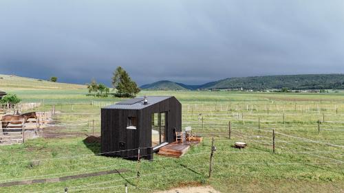 Cabin stay with optional Donkey Picnic Experience