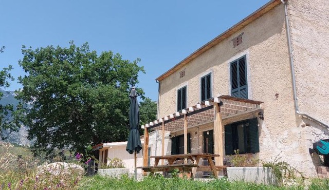 Casa Giulietta, dogs paradise