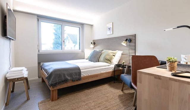 Central St. Gallen Studio (brown): Fast WiFi & kitchen for shared use