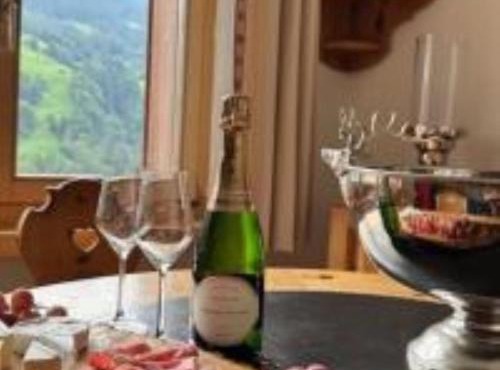 Chalet apartment & mountain view