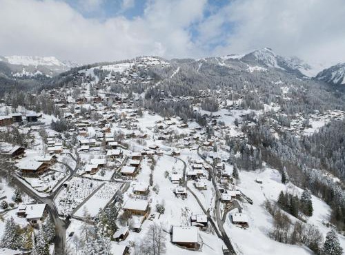 Chalet Chalet Zan-Fleuron by Interhome